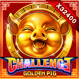 Challenge - golden Pig